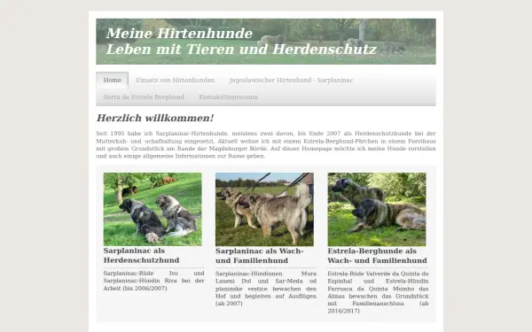 www.meine-hirtenhunde.de