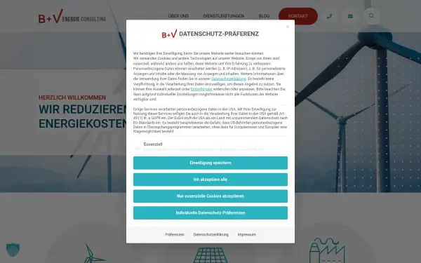 buv-consulting.de