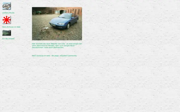 liisa.de