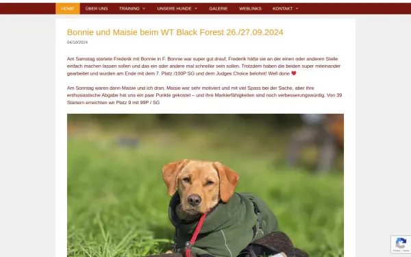 dogsbestfriends.de