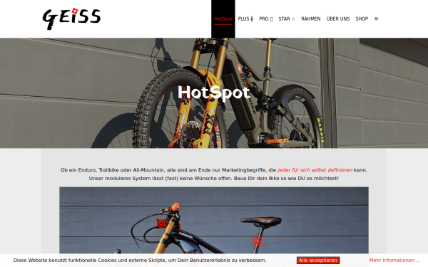 geiss.bike