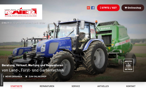 www.maier-gschwend.de