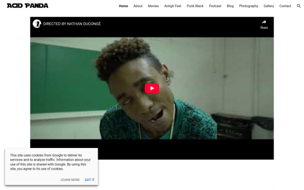 www.acidpandaproductions.com