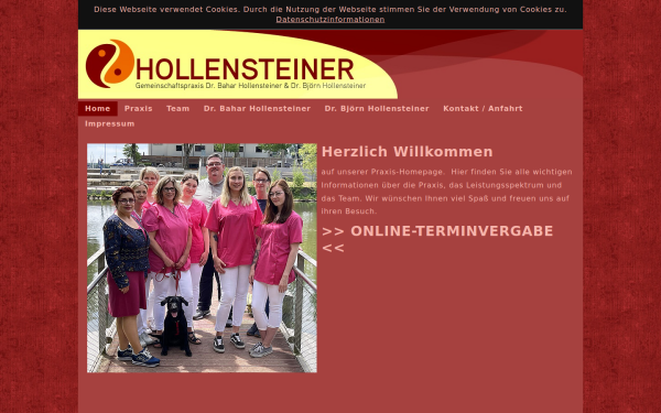 dr-hollensteiner.de