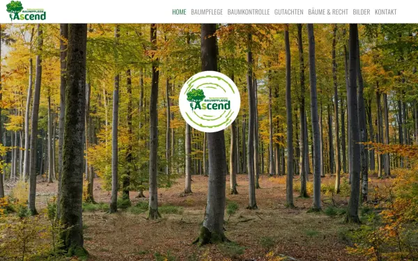 ascend-baumpflege.de