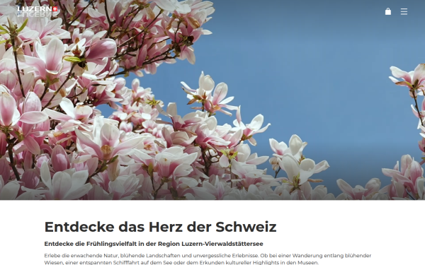 shop.luzern.com