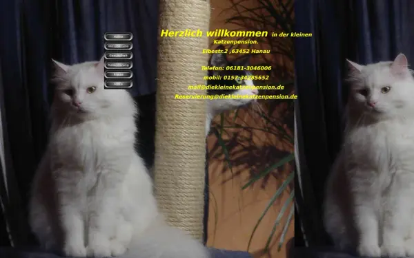diekleinekatzenpension.de