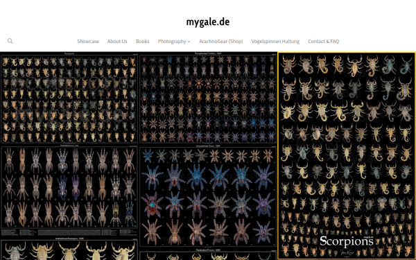 mygale.de