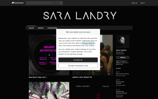 saralandry.bandcamp.com