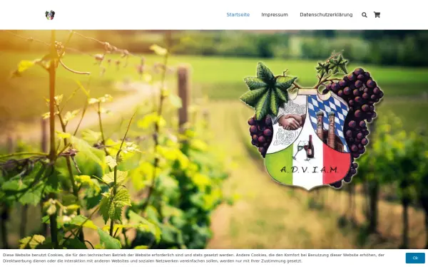 www.adviam.de