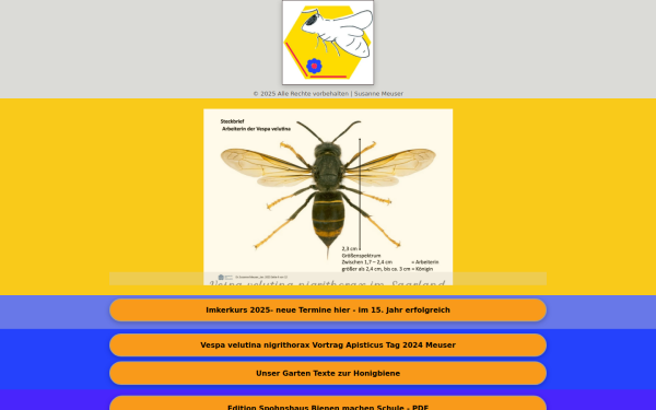 www.meusersbienchen.de