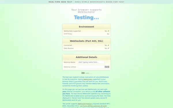 websocketstest.com