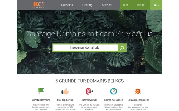 www.kcs-domains.de