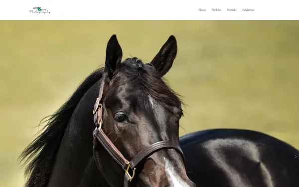 www.artnlight.de