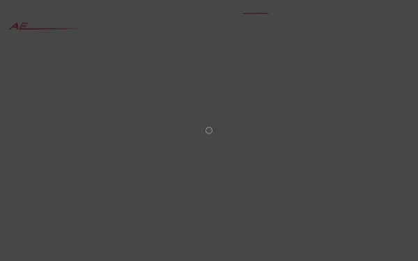 ae-performance.de