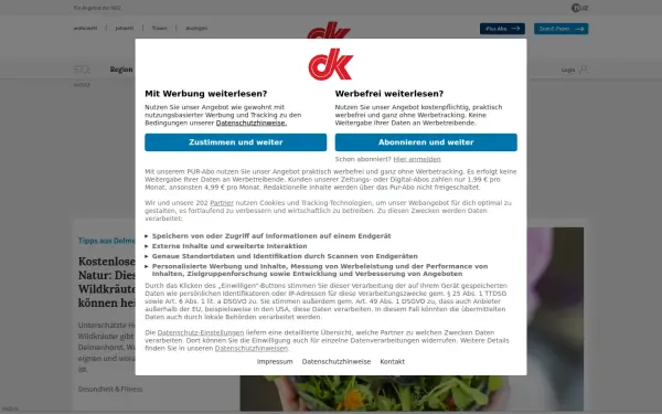 www.dk-online.de