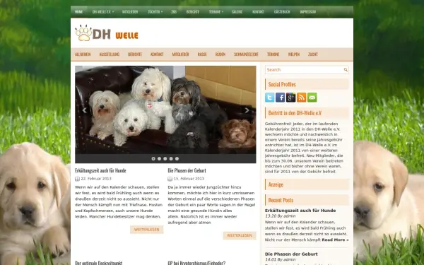 dh-welle.de