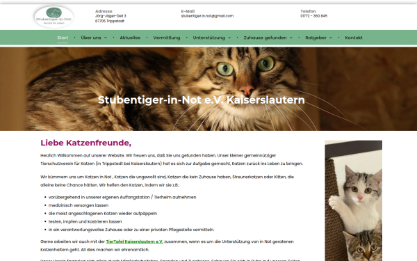 www.stubentiger-in-not.de