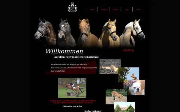 reitpony-bayern.de