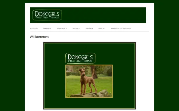 donegals-irish-terrier.de