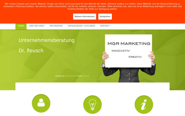 mgr-innovativ.de