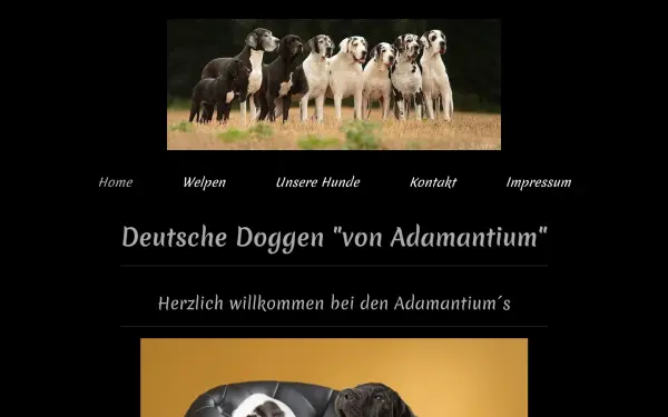 www.doggen-von-adamantium.de