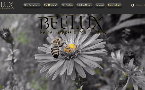 www.beelux.at