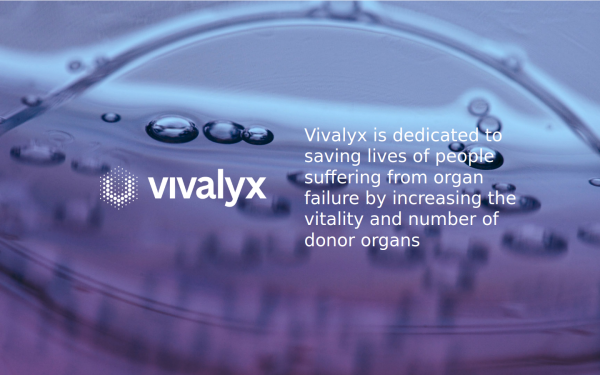 vivalyx.com