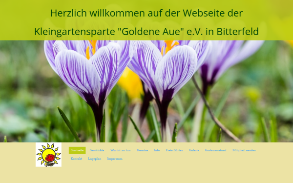 goldene-aue-bitterfeld.de