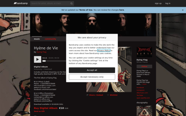 dyingflag.bandcamp.com