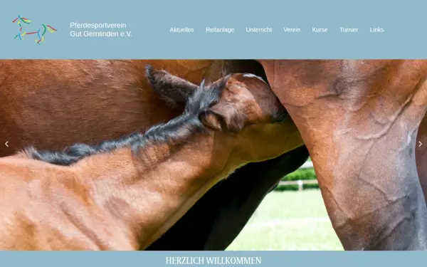 psv-gut-gernlinden.de
