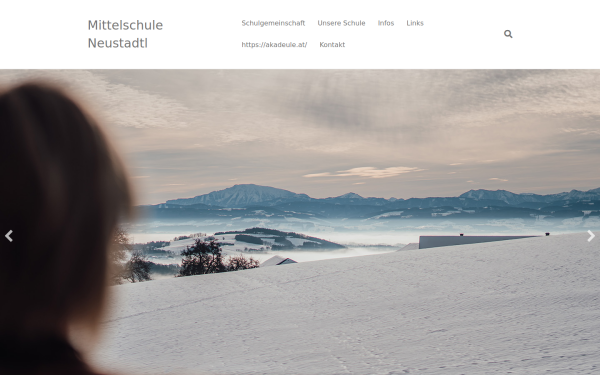 nmsneustadtl.ac.at