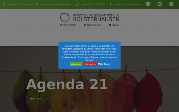 gesamtschuleholsterhausen.de