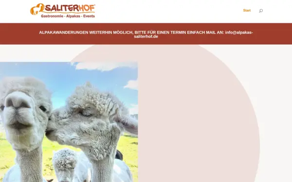 www.alpakas-saliterhof.de