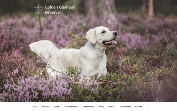 golden-glamour-retriever.de
