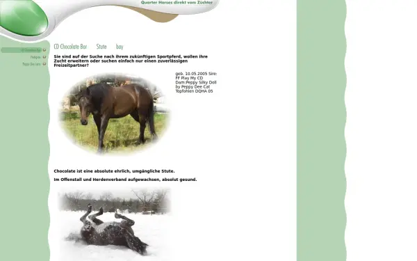 allesquarterhorse.de