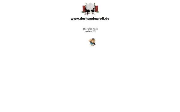 derhundeprofi.de