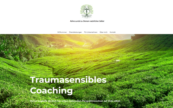www.irinasonberg.online