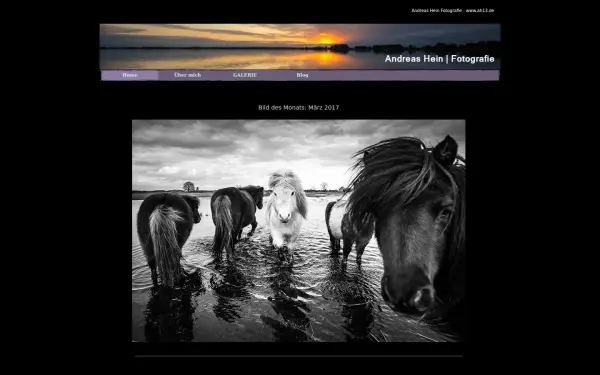 andreashein-fotografie.de
