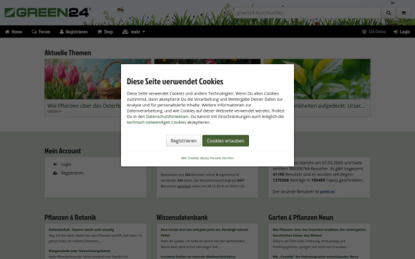 green-24.de