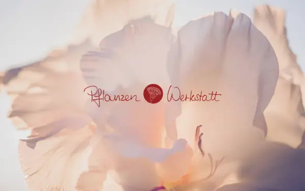 www.pflanzen-werkstatt.de