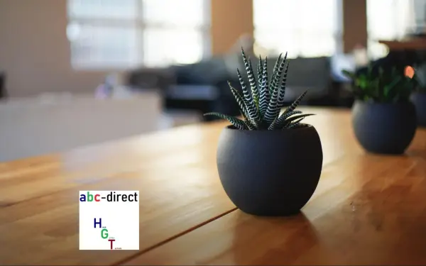 abc-direct.de