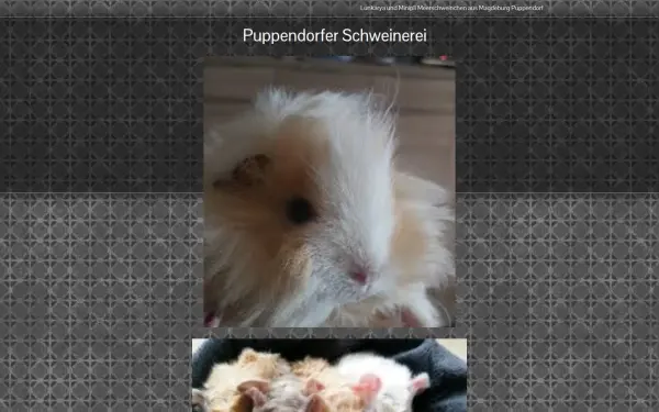 puppendorfer-schweinerei.de
