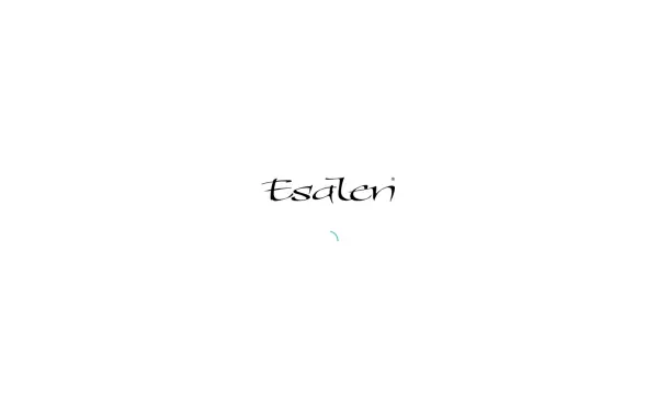 esalen-massage.de