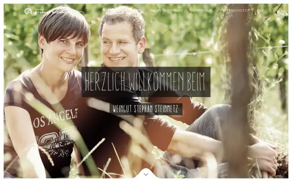 www.stephan-steinmetz.de