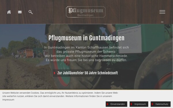 pflugmuseum.ch