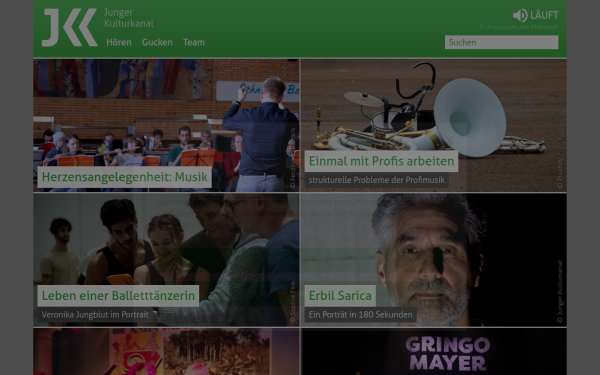jungerkulturkanal.de