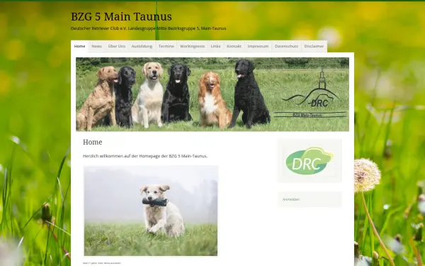 drc-bzg5.de