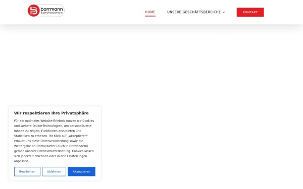 borrmann-professionals.de