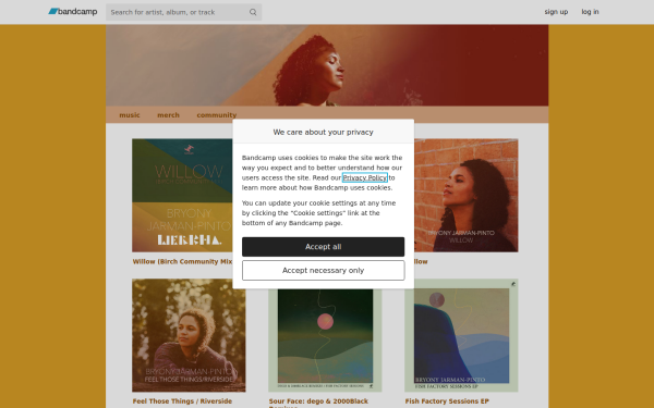 bryonyjarman-pinto.bandcamp.com
